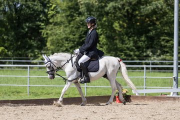 Bild 4 - Pony Akademie Turnier